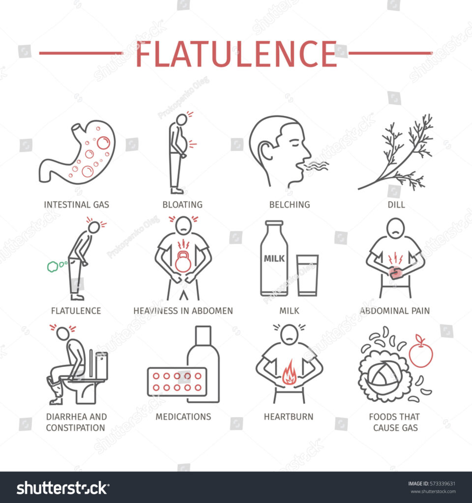 Flûtes et flatulences : L’herboristerie au secours de vos intestins (avec preuves scientifiques… et sourires garantis) !