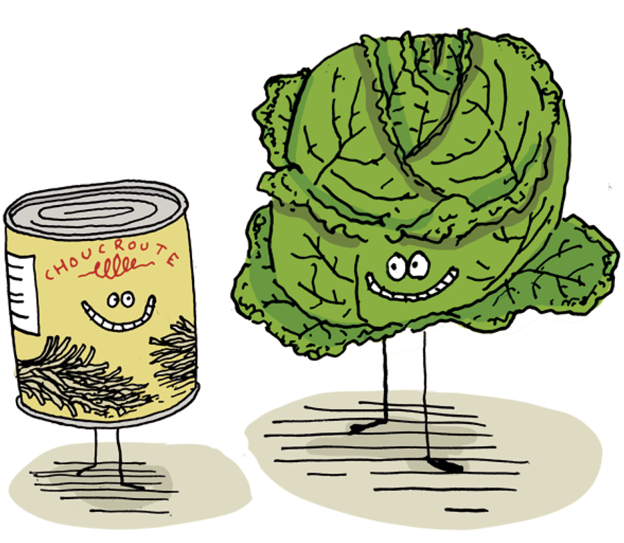 Avant que l’humain ne découvre le feu, il fermentait déjà.

• Civilisations anciennes : La fermentation a permis de rendre la nourriture plus digeste, réduisant le temps de mastication et modifiant même notre physiologie, comme la taille de nos molaires. Dans les mythologies, c’était un « cadeau des dieux », gage de civilisation.